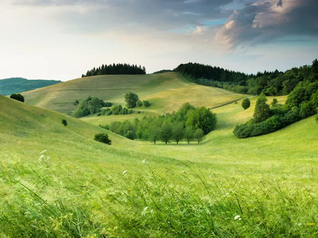 Изображение галереи