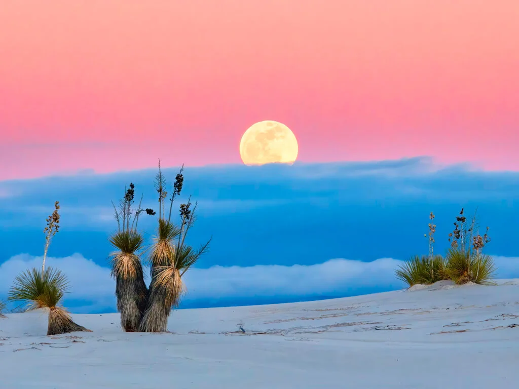 <?php echo  $e($info['alt']) ?>